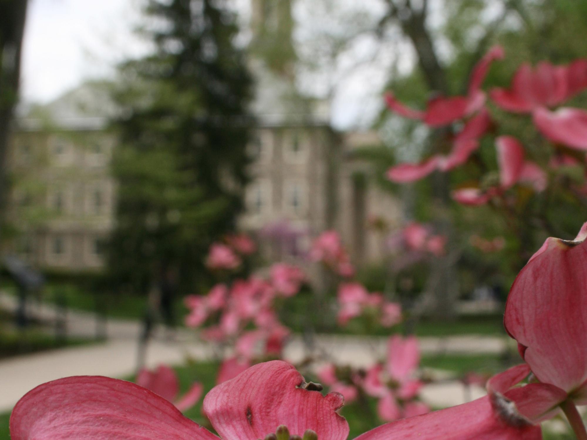 Penn State announces 2022 University-wide faculty and staff awards